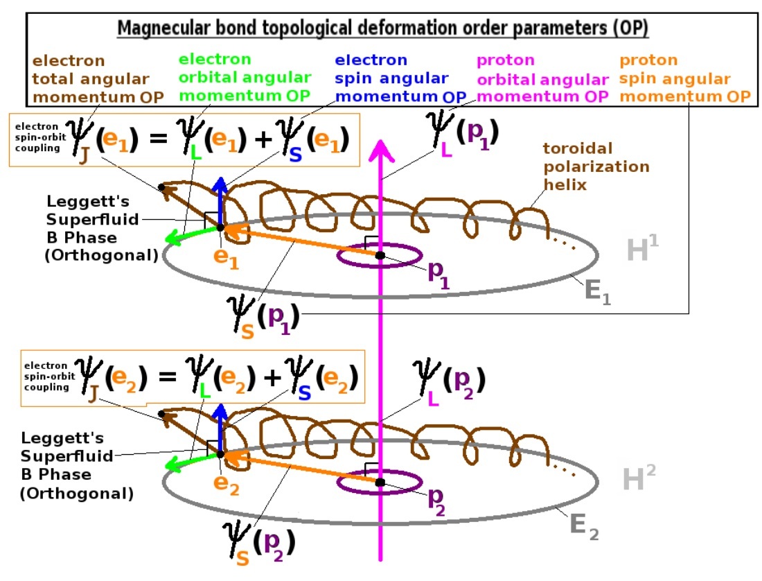 magnecule order parameter topological deformation
